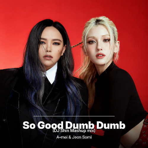 So Good Dumb Dumb (DJ SHin Mashup mix) artwork